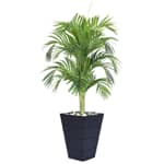 Artificial plants