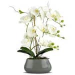 Natural plants