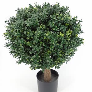 Artificial carmona plant